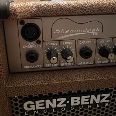 Genz Benz Shenandoah Jr Acoustic Guitar Amplifier 35 Watt 2-Channel with Cover image 5