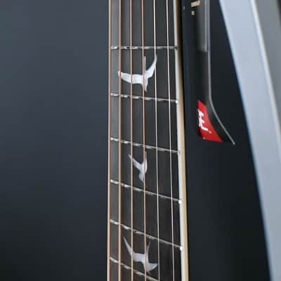 PRS SE P20E Parlor Acoustic Guitar Dog Hair #517 image 12