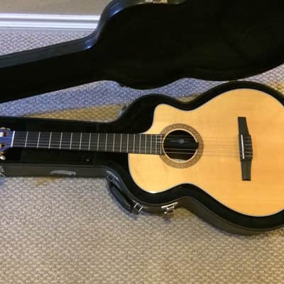 Taylor NS32ce image 1
