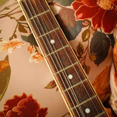 2013 Duesenberg Starplayer TV Sunburst image 9