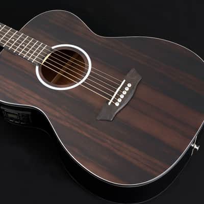 Washburn DFEFE-A Deep Forest Folk Acoustic/Electric Guitar - Striped Ebony (DFEFE-A-U) image 6