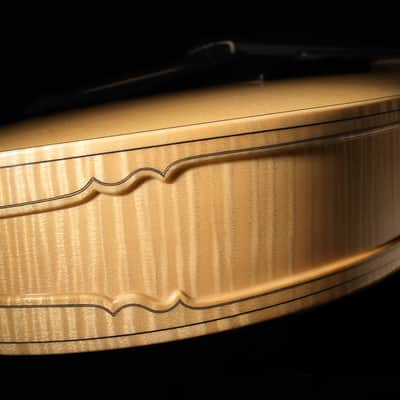 Schneider Guitars / The SoHo17 image 13