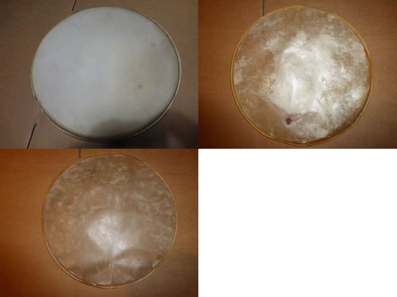 3x Set 12" , 13" calf drum head - Slingerland image 1