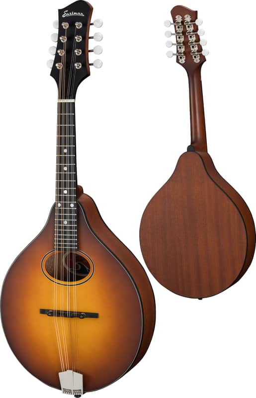 Eastman PCH-M104 Flat-top A-Style Mandolin, Goldburst image 1