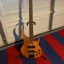 Peavey Grind Bass 4 NTB