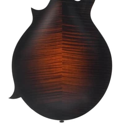 Collings MF F Style Mandolin 2022 image 4