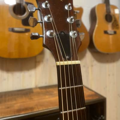 Immagine Guild D-35 1978 - Natural - 6