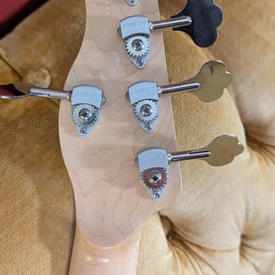 Alien Audio Constellation 5 String Bass image 10