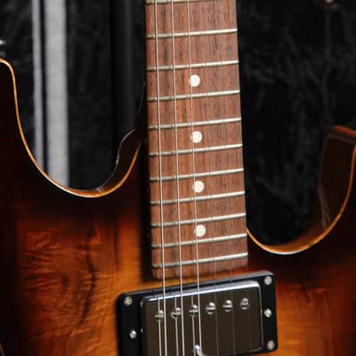 Patrick James Eggle 96 Drop Top Electric Guitar image 5