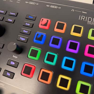 Waldorf Iridium Desktop Synthesizer Owned By Puscifer image 6
