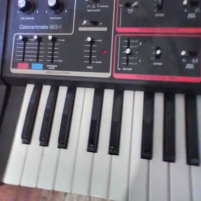 Moog Realistic Concertmate MG-1 1981 - Black