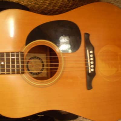 Immagine Alvarez Regent Grateful Dead Model # 69476-5210 Natural - 5