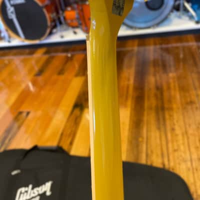 Gibson Les Paul DC Special 100 image 18
