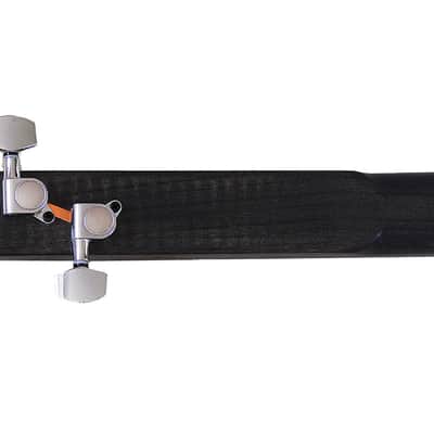 SOMA Laboratory DVINA Electro-Acoustic Stringed Instrument image 4