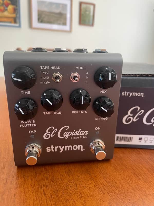 Strymon El Capistan V2 2022 - Present - Grey image 1