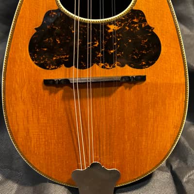 Washburn Bowlback Mandolin Stlye 215 - Brazilian Rosewood - Great Player -Org. Case - Clean! - Ships FREE!!! image 2