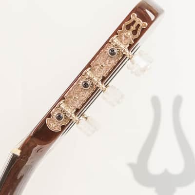 Daion DPC-999 Solid Body Acoustic / Classical 1983 Brown image 19