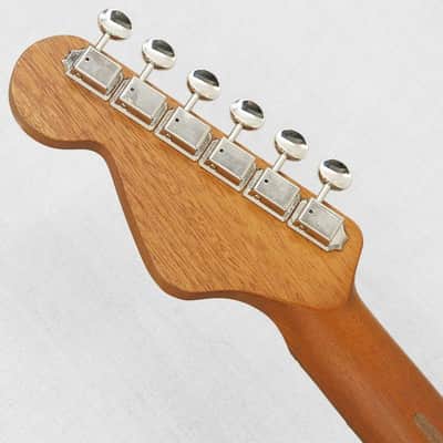 Fender Acoustics USED Highway Series Parlor All Mahogany '23 image 9