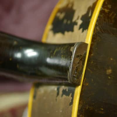 Gibson J-50 1967 - Natural image 19