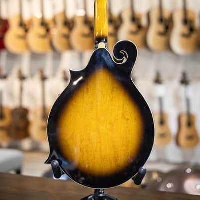 Goldtone GM-35 F-Style Mandolin w/case image 5