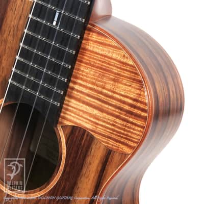 TODA GUITARS <MIJ>VB ALL Wild Mango 2026 image 12