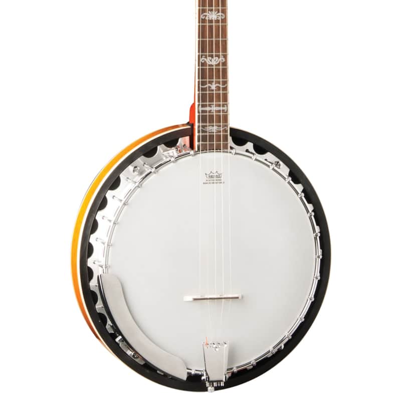 Washburn B10 5-String Banjo image 1