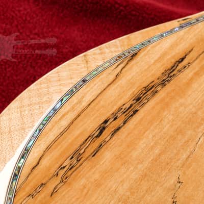 B.C. Rich Acoustic Cutaway 6 -String - Spalted Maple - W/Matrix Infinity VT & Hardcase image 9