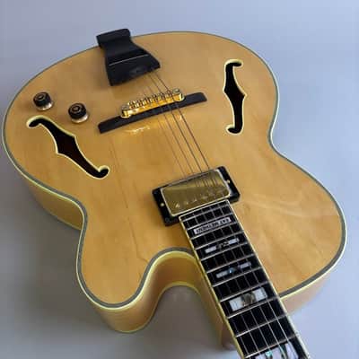 Ibanez PM200 2025 image 9