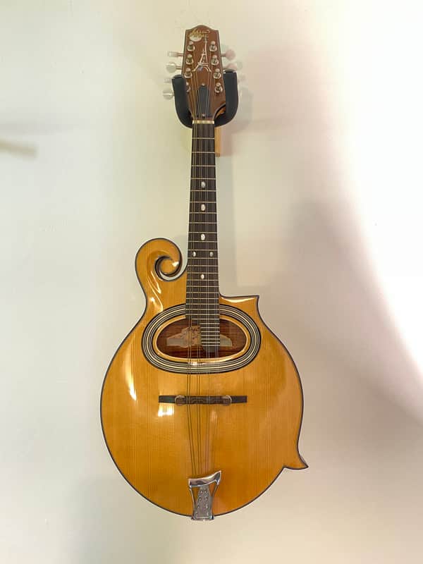 Paris Swing Gypsy Jazz Mandolin – D-Hole A-Style + Hard Case | Reverb