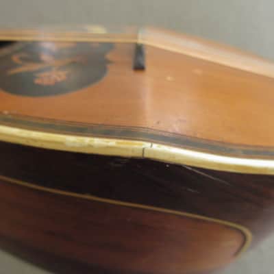 Unlabeled Bowlback Mandolin c.1910's image 15