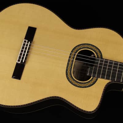 Takamine TH90 Hirade (#973) image 4