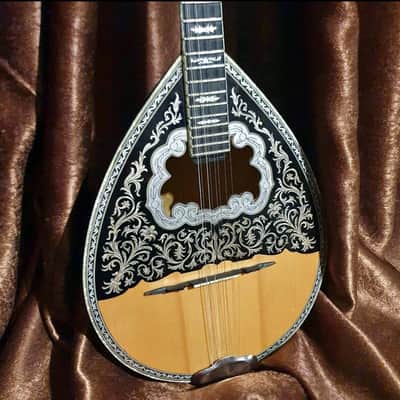 Greek Bouzouki &hardcase & pickup & 300 backing track with pdf scores 8 string image 2