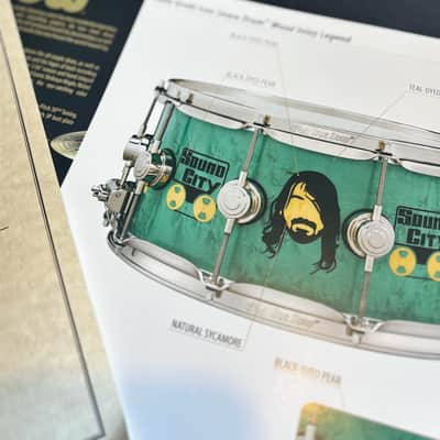 DW Dave Grohl Collector's Series "Sound City" Snare Drum - #44 of 250 (MINT/UNUSED) image 16