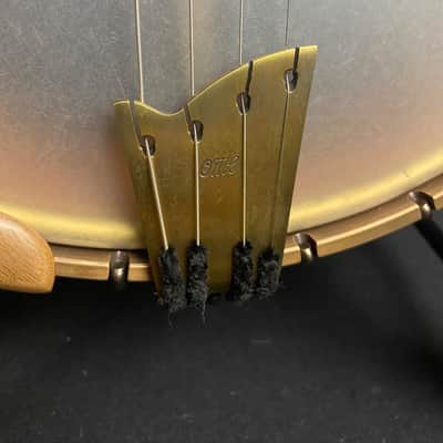 Immagine OME Wicklow Irish Tenor Banjo - 14