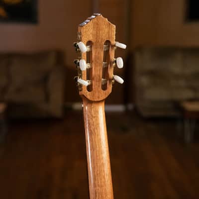 Ortega RCE138SN Performer Series Solid Spruce Top Mahogany Neck Cutaway Nylon 6-String Classical Acoustic-Electric Guitar w/Gig Bag image 19