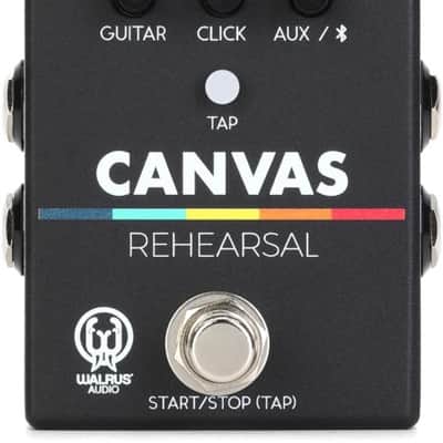 Walrus Audio Canvas Rehearsal Pedal (CanvasRehd1) image 1