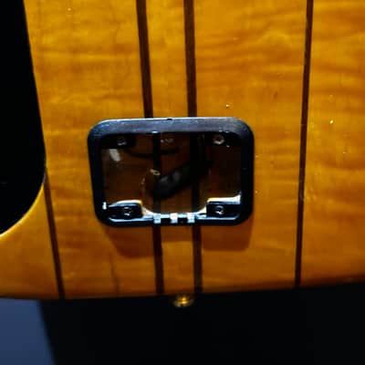 Peavey Dynabass - Orange Amber Flame - Donald Duck Dunn image 11