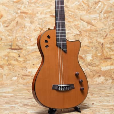 Cordoba Stage Guitar TRADITIONAL CD image 3