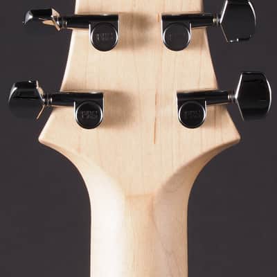 PRS CE 24 Semi-Hollow - Black Amber image 12