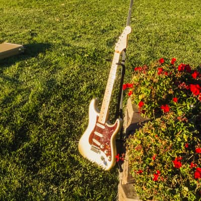 2017 Fender Classic Player '50s Stratocaster, Shoreline Gold W/ TORTOISE PICKGUARD! image 9
