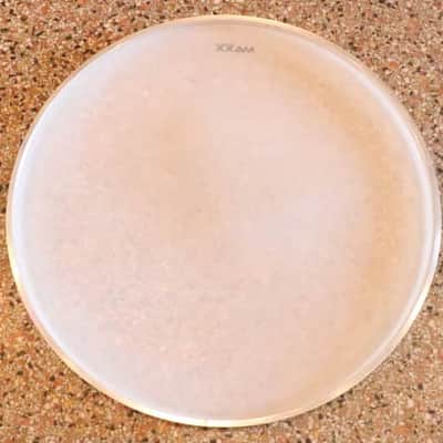 Pintech MAXX 22" Series Mesh Drum Head image 3