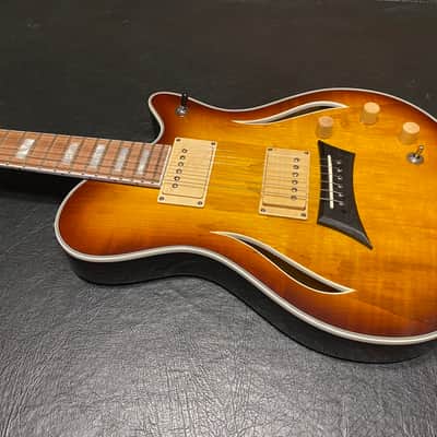 Michael Kelly Spalted Hybrid E/A 2025 - Spalted Burst image 6