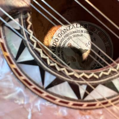 Luthier Gonzales Steel 12 String Ronroco / Charangon 2017 with 10 sets of strings image 5
