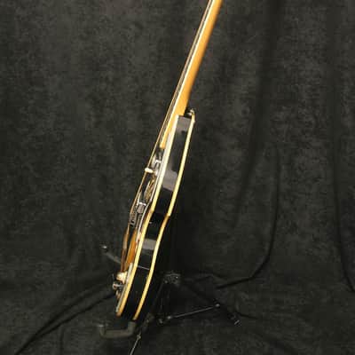 Royal Artist Bruno 1960's Sunburst 12 string image 10