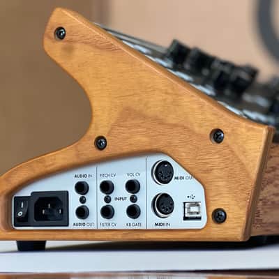 Moog Subsequent 25 Desktop Analog Synth - Pushing Envelopes SUB-ZERØ image 5