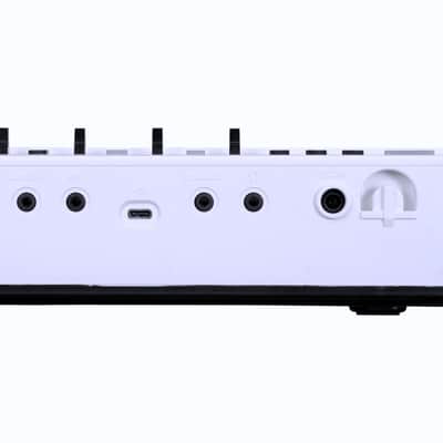 Korg Liano LIVE! image 4