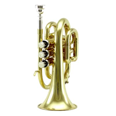 Sky Band Approved Gold Plated Brass Bb Pocket Trumpet with Case, Cloth, Gloves and Valve Oil image 2
