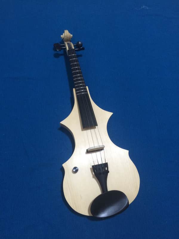 leigh + fretted violin + LEFT HAND MODEL image 1