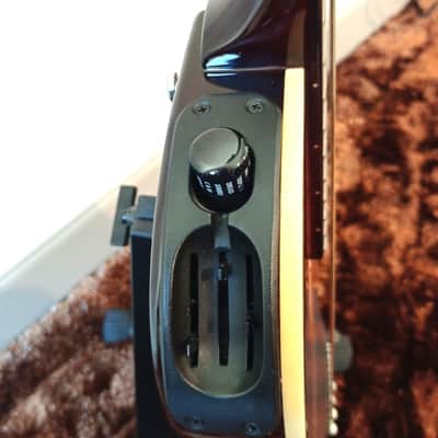 Line 6 Variax 700 Acoustic image 3