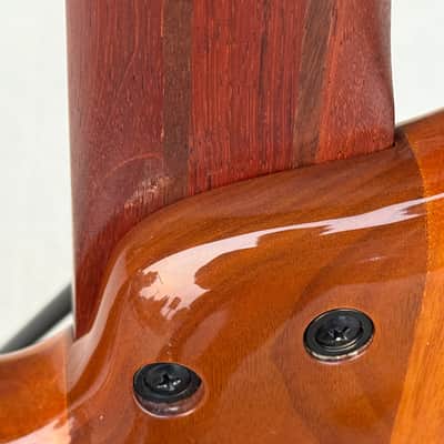 Ibanez SR875 5-String Bass, Autumn Leaf Gradation image 6